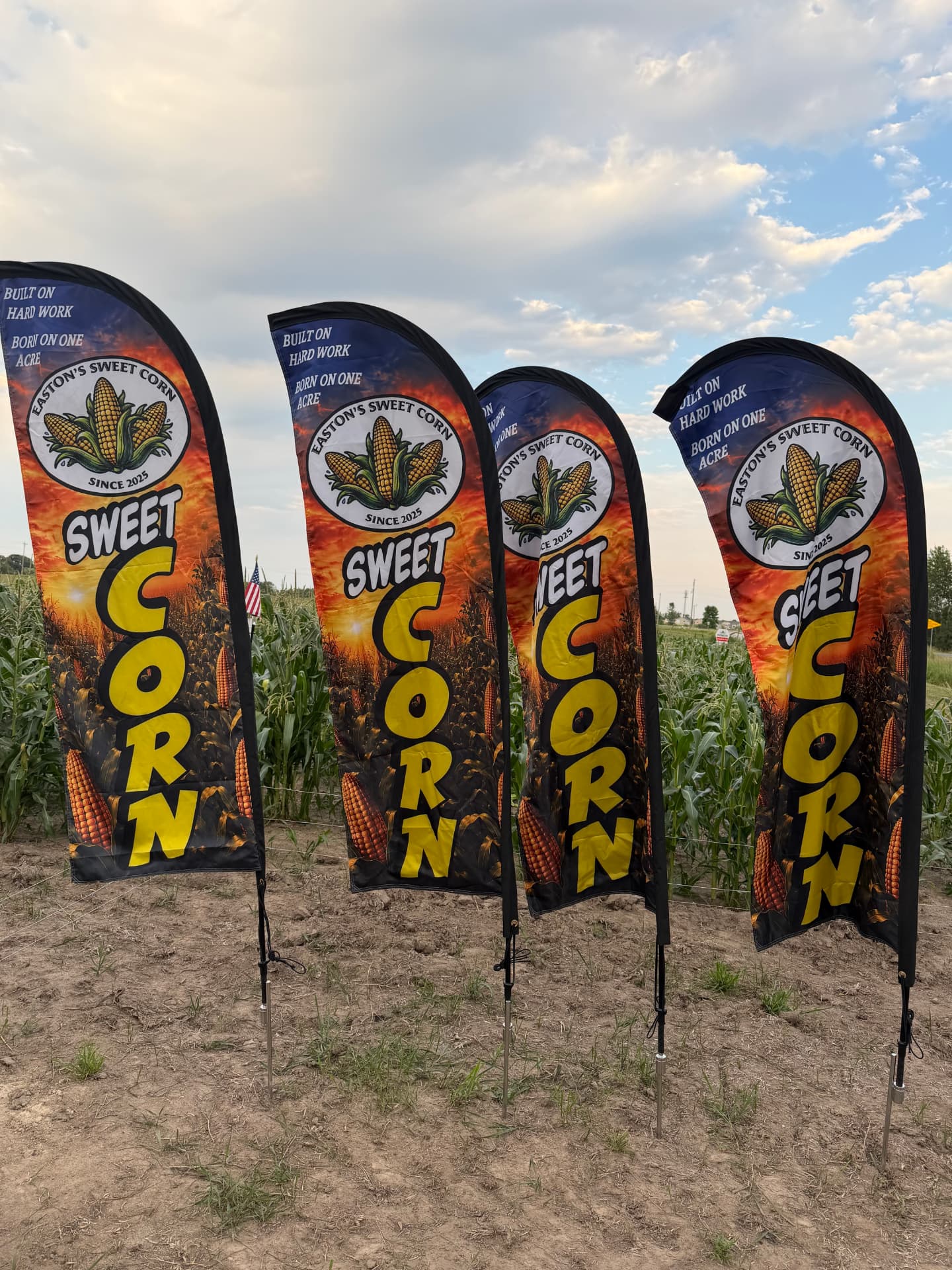 Flags, Signs & More